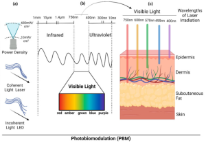Light as Medicine: Is Sunlight an “Information Vitamin” for the Human Body?